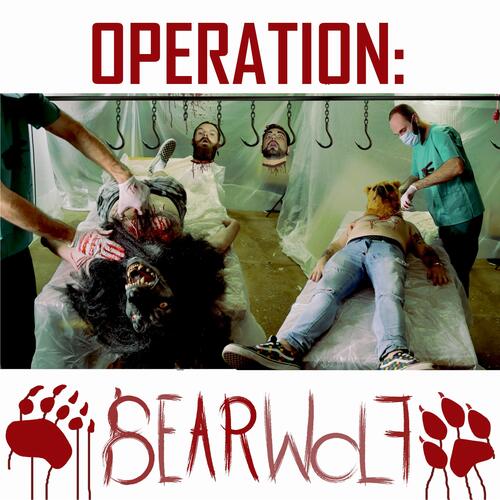 Operation: BearWolf