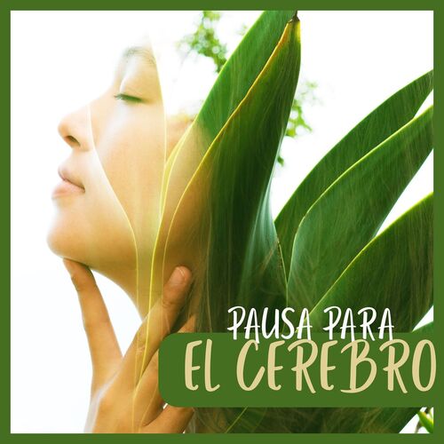 Para Descansar cover art