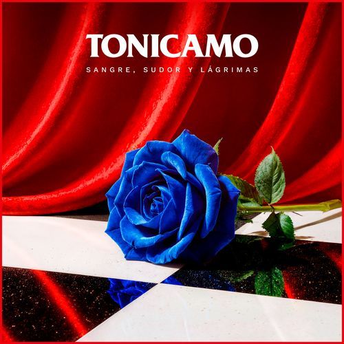Enamorados de la Inmediatez cover art