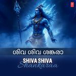 Shiva Shiva Shankaraa