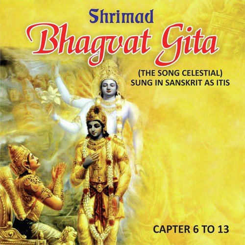 Shrimad Bhagvat Gita, Vol. 6, 7, 8, 9, 10, 11, 12 & 13