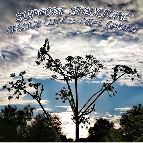 Support Structure cover art