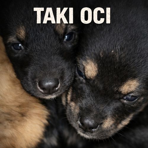 TAKI OCI cover art