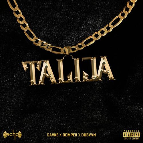 Talija (feat. Dusvvn) cover art