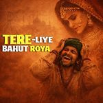 Tere Liye Bahut Roya