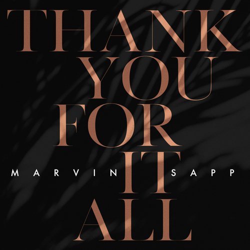 Thank You For It All_poster_image