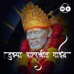 Tujhya Palkhit Gayin