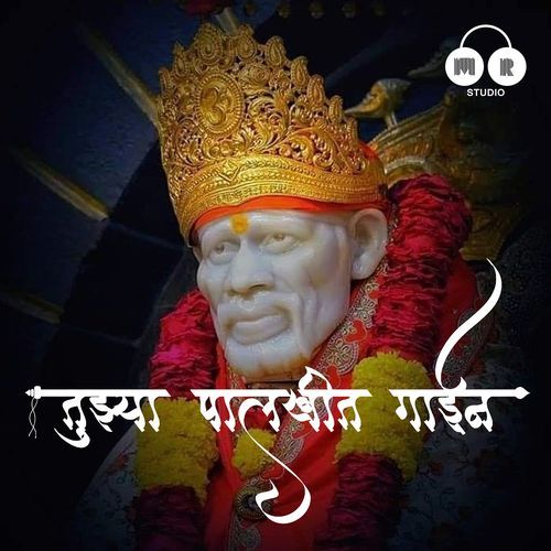 Tujhya Palkhit Gayin