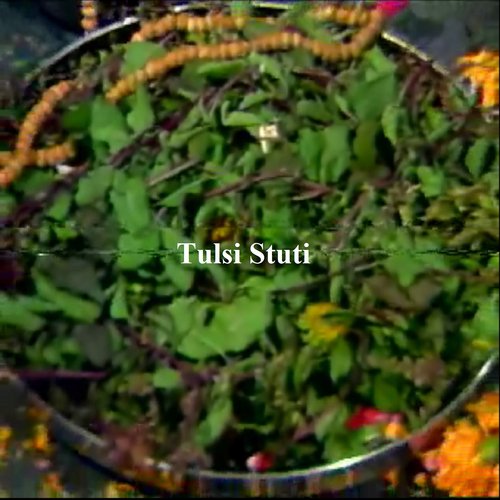 Tulsi Stuti