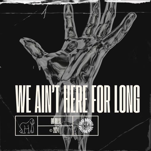 WE AIN'T HERE FOR LONG (DnB)