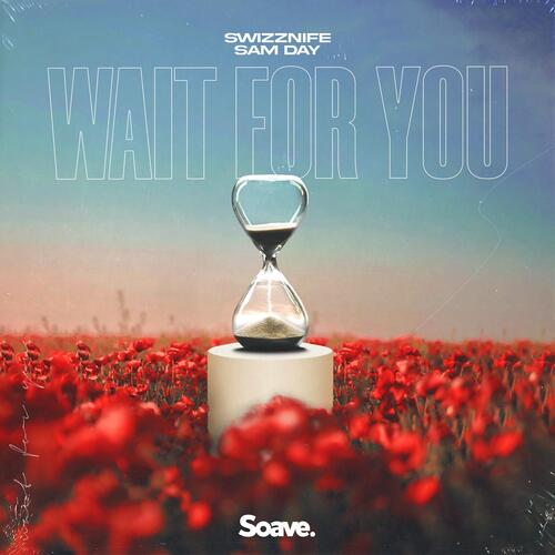 Wait For You_poster_image