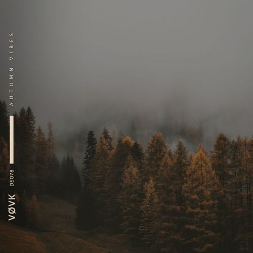 autumn vibes (slowed + reverb)
