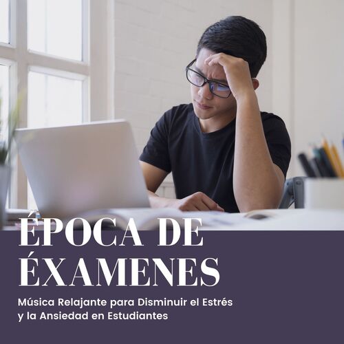 Pure Relaxation Focus on Study cover art