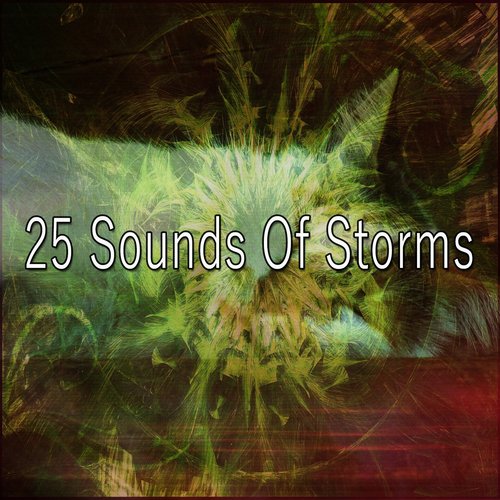 25 Sounds Of Storms