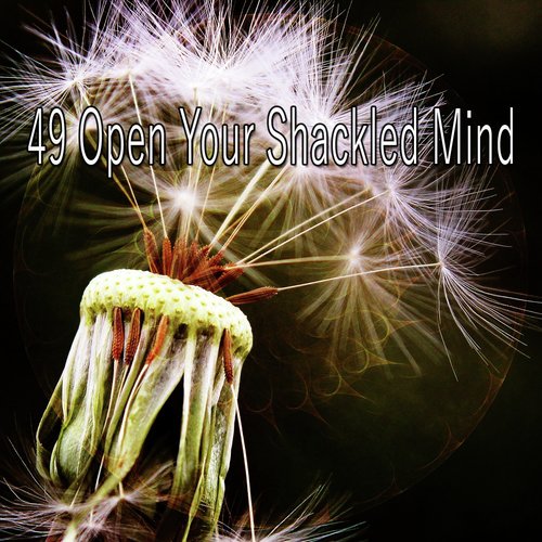 49 Open Your Shackled Mind