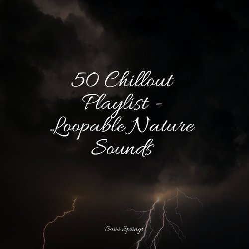 50 Chillout Playlist - Loopable Nature Sounds_poster_image