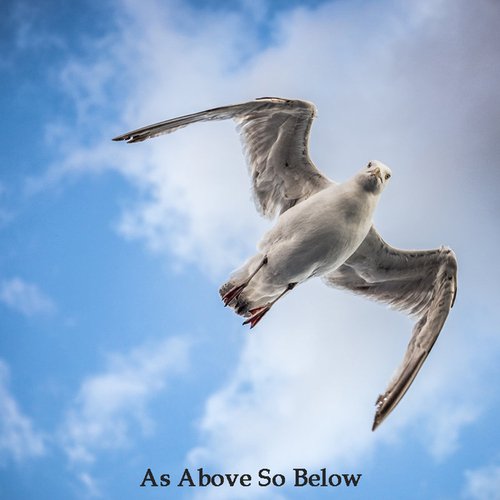 Inner stillness (Eckhart Tolle) cover art