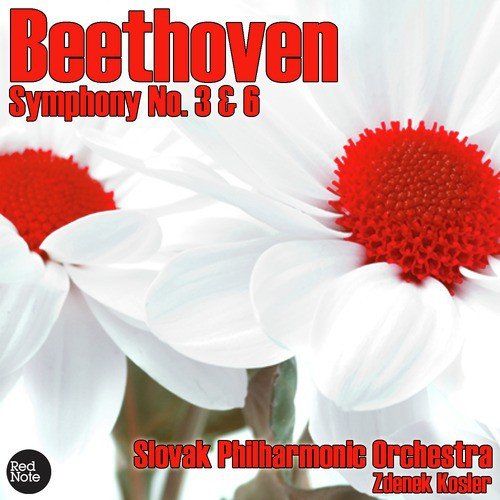 Symphony No. 6 (Pastorale) in F major, Op. 68: IV. Allegro