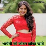 Bhayeli Ko Joban Jhoka Khave (Meenawati)