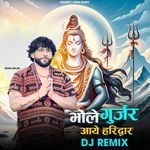 Bhole Gurjar Aaye Haridwar Dj Remix
