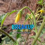 Breakup