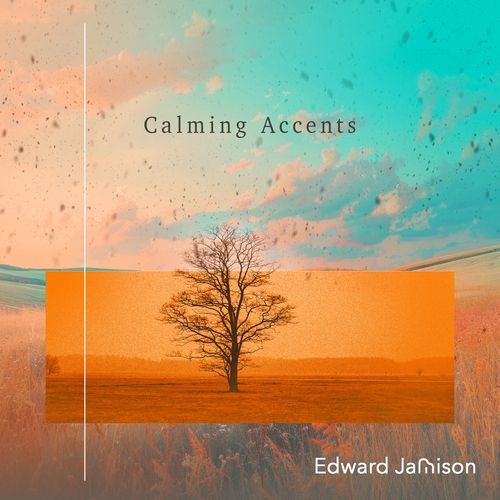 Calming Accents