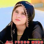 Dil Fukgo Mero