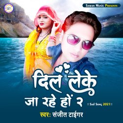 Dil Leke  Ja rahe ho 2 (Hindi Song)-NjddQj8AR2A