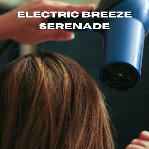 Electric Breeze Serenade_poster_image