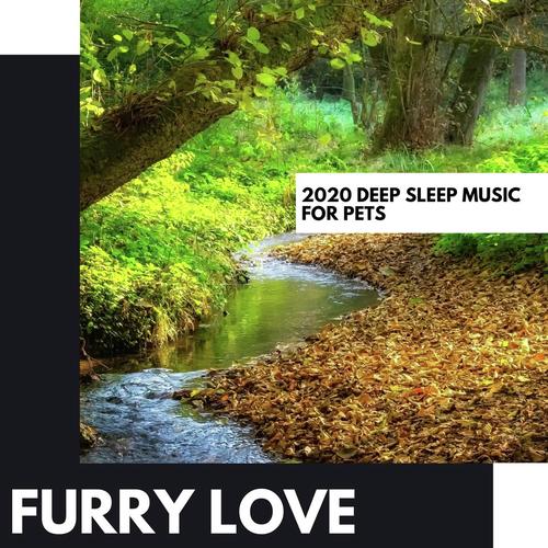 Ambient Dreamer cover art