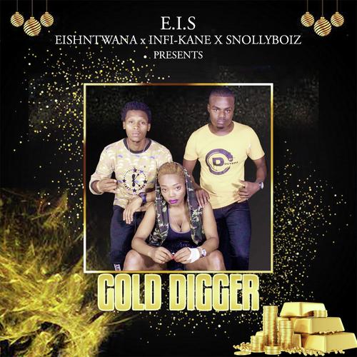 Gold Digger_poster_image