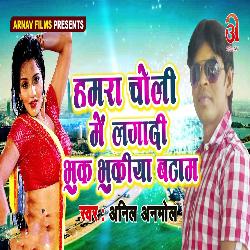 Hamar Choli Me Lagadi Bhuk Bhukiya Bataam