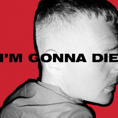 I&#039;m Gonna Die_poster_image