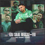 Kai Saal Reggae Fix