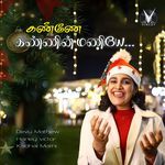 Vaanodu Oli veesum