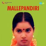 Mallepandiri