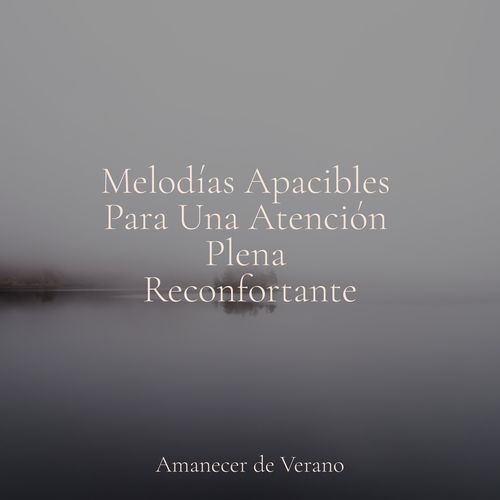 Melodías Apacibles Para Una Atención Plena Reconfortante