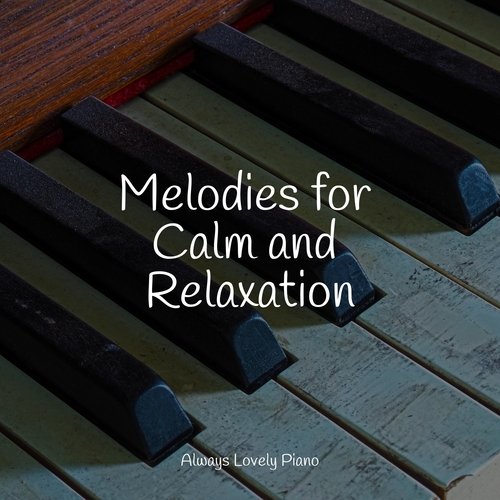 Melodies for Calm and Relaxation_poster_image