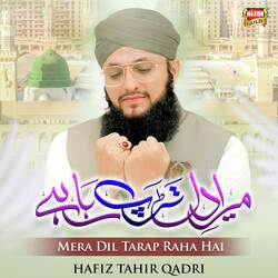 Mera Dil Tarap Raha Hai-QwctexNhVEY