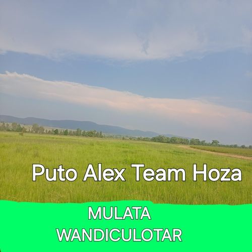 Mulata Wandiculotar