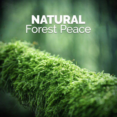 Natural Forest Peace