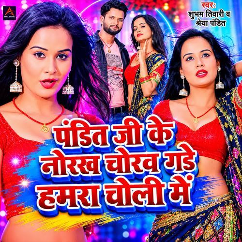 Pandit Ji Ke Nokh Chokh Gade Humra Choli Me
