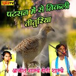 Patasan Me Se Nikali Tituriya