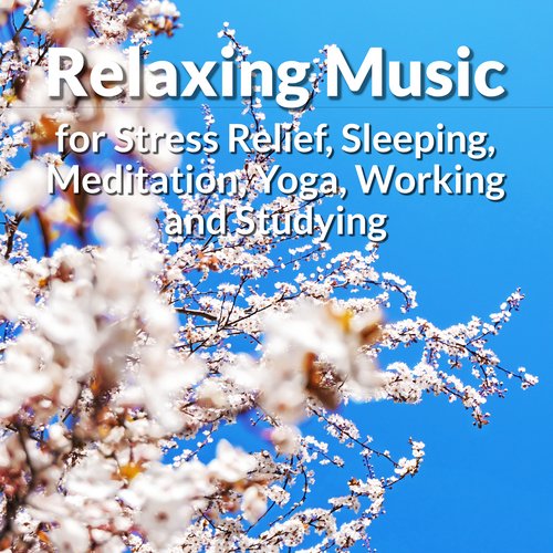 Yoga Music for Yoga Class cover art