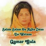 Salam Salam Pa Agha Zwan Da Wataan