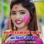 Sali Darbayle Tu Rang Ka Bigade Tero He