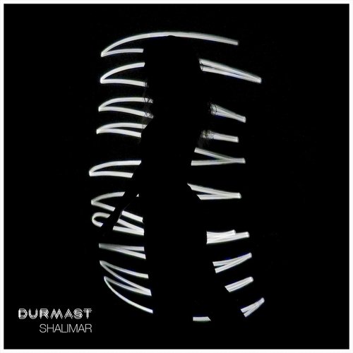  Durmast