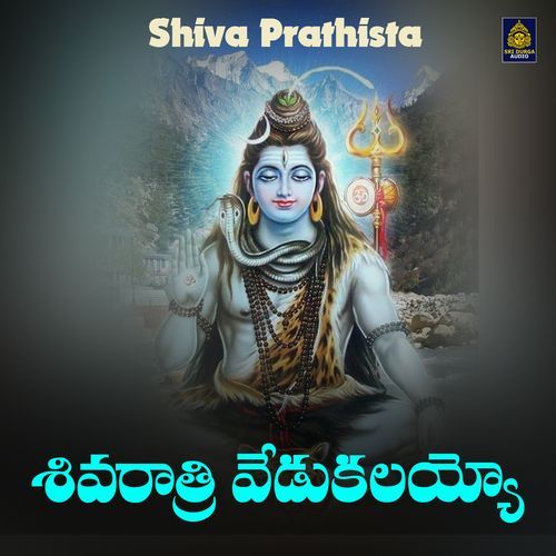 Shivaratri Vedukalayyoyo (Shiva Prathista)_poster_image