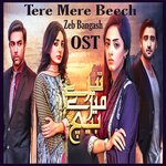 Tere Mere Beech