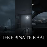 Tere bina ye raat